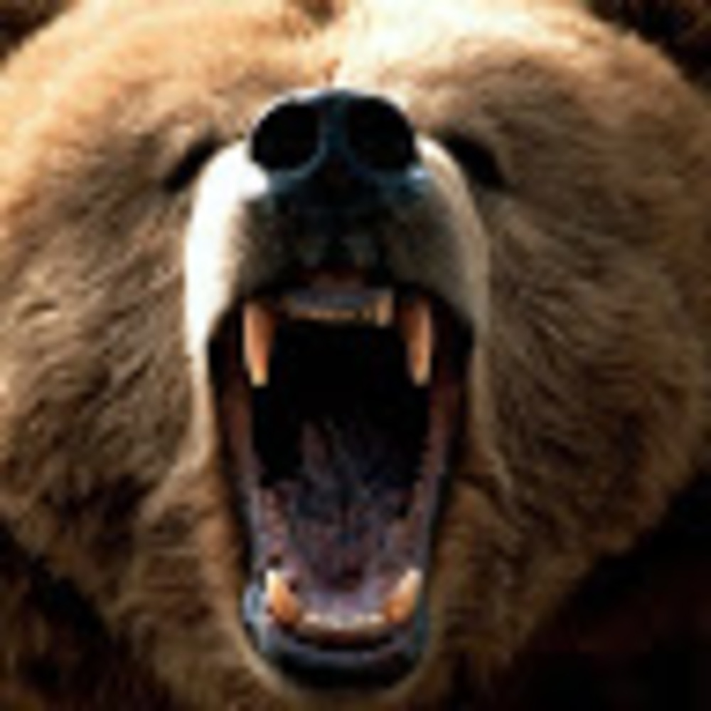 Meet your Posher, Micah